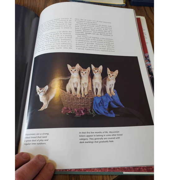 Portrait of the Animal World Series: Cats By Marcus Schneck & Jill Caravan - Picture 7 of 7